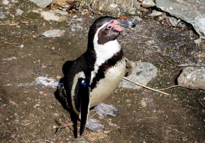 DSC_0473.jpg