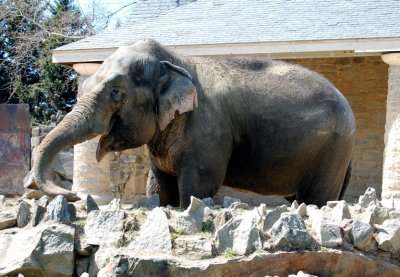 DSC_0474.jpg