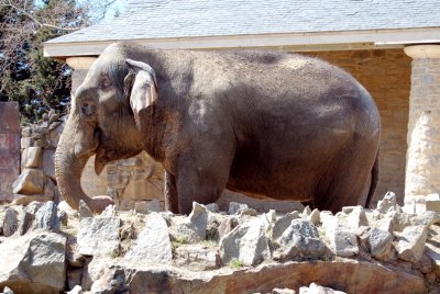 DSC_0475.jpg