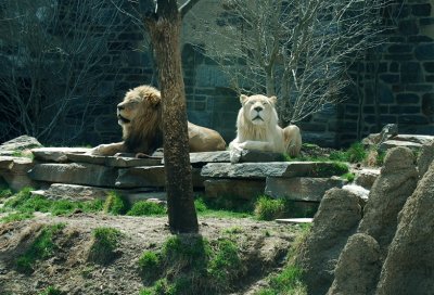 DSC_0492.jpg