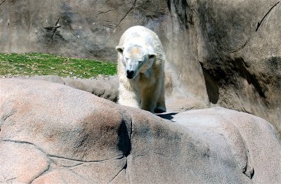 DSC_0532.jpg