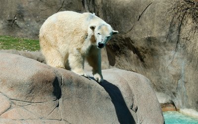 DSC_0533.jpg