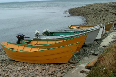 319  DORIES