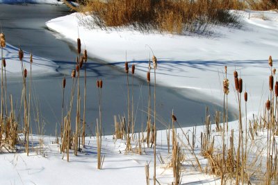 021  ICE AND SNOW