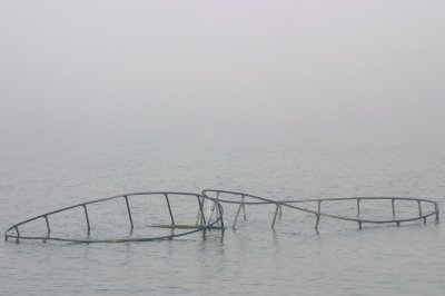 424  AQUACULTURE WRECKAGE