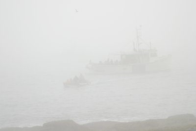 017  FOGGY DEBARKATION