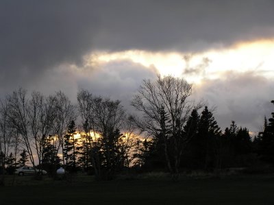 P1010115.JPG