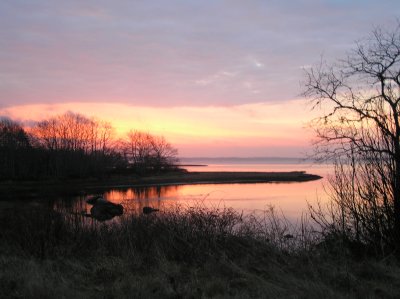 P1010002.JPG
