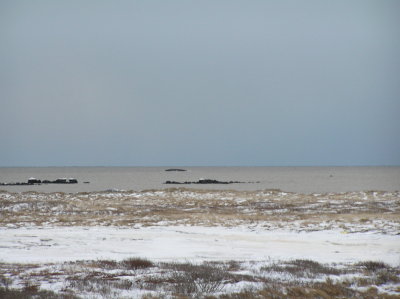 P1010029.JPG