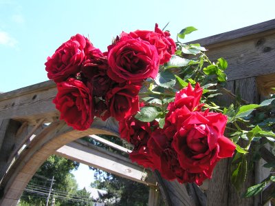g6/15/700515/3/82245536.86gKh7yD.jpg