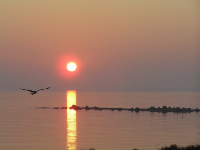 P1010004.JPG