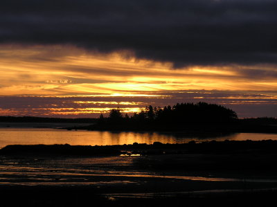 P1010005.JPG