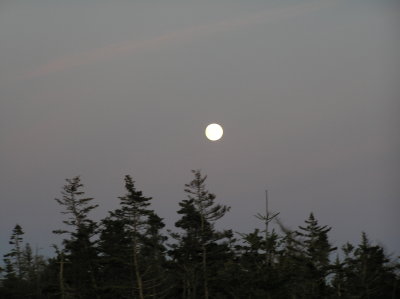 P1010047.JPG