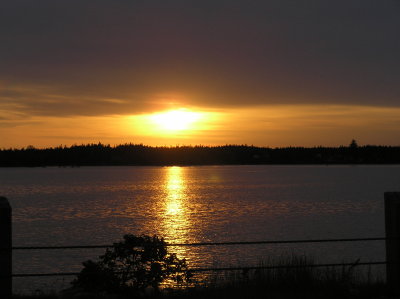 P1010007.JPG