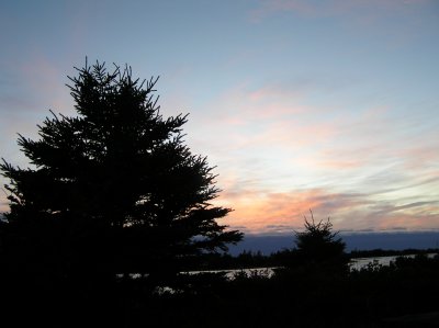 P1010013.JPG