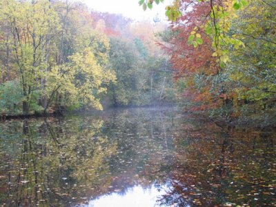 IMG_0863.JPG