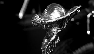 IMG_2429.jpg