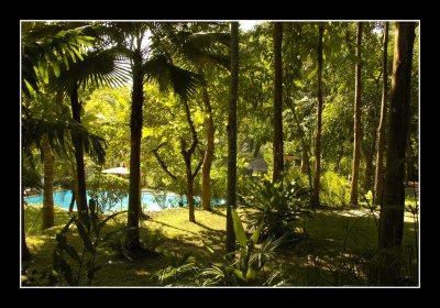 Fern Resort Garden