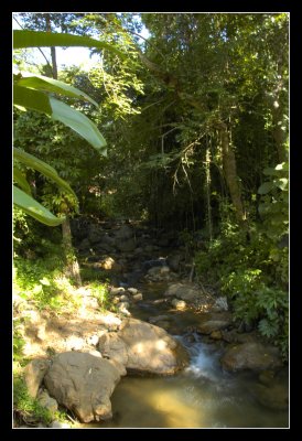 Between Resort and National Park