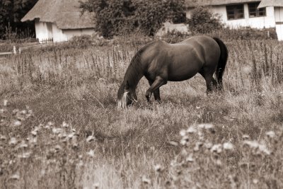 Old Days in Denmark