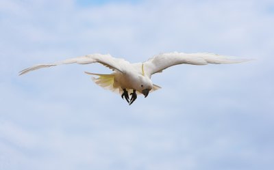 g6/15/736615/3/85987170.xLqZhKTQ.jpg