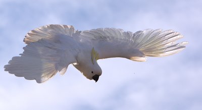 g6/15/736615/3/86714306.lT4btufU.jpg