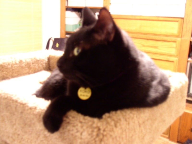 PC240151.JPG