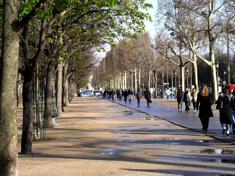 Garden to the Louvre