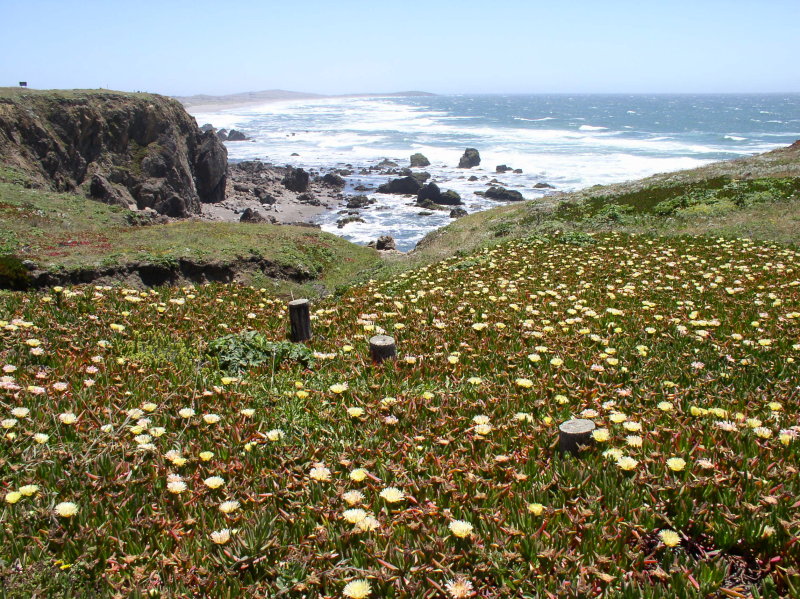 We connect onto the coastal highway.