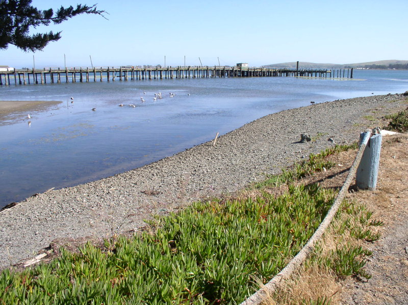 Late noon light on the bay.