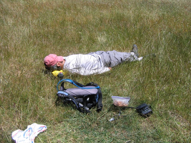 Nap time for seniors. Geno and Jay decide to stop.