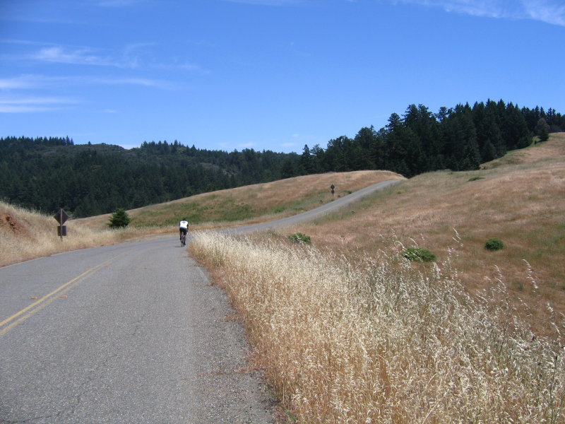 Were passed by a rider. This road is also popular with local cyclist.