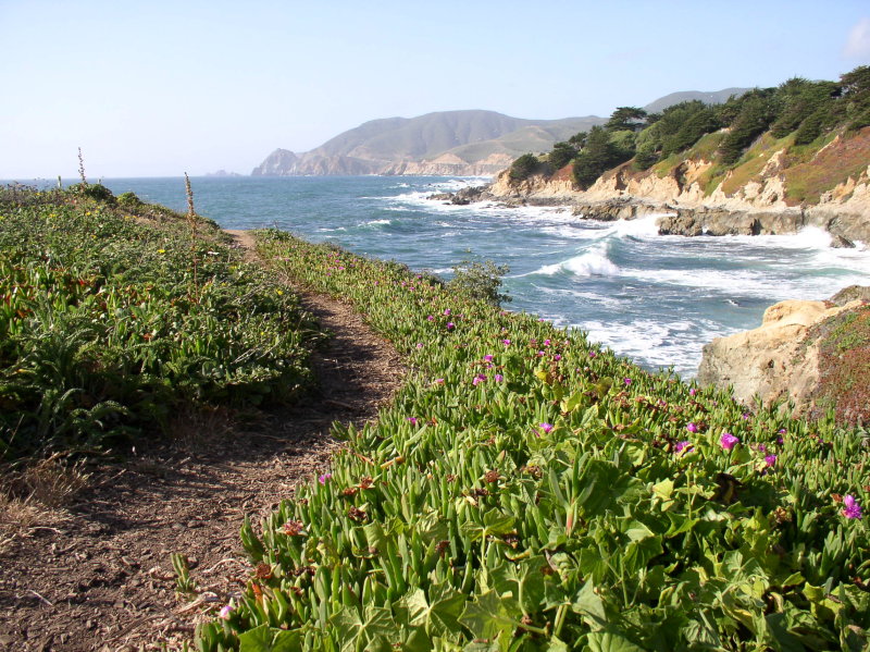  The area around the lighthouse is beautiful and dramatic.