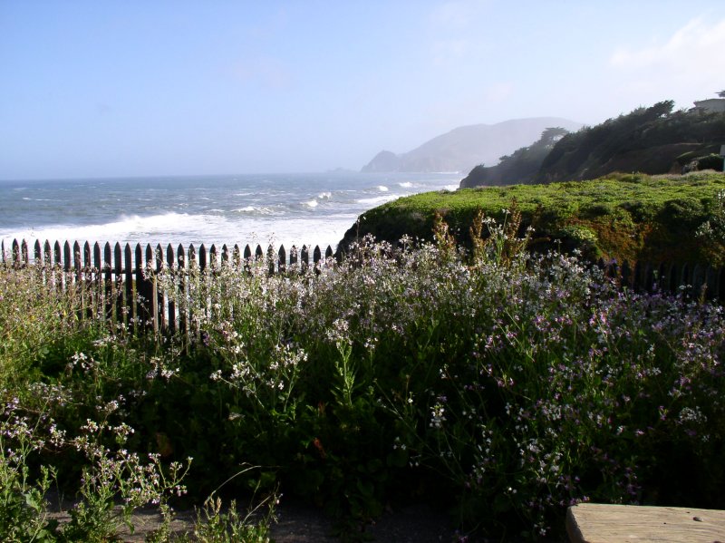 Morning light along the coast.