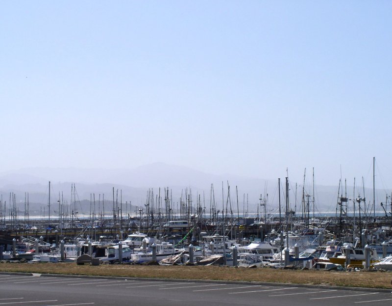 Marina at Half Moon Bay.