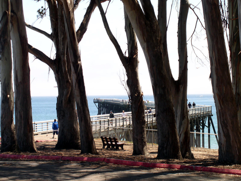 Pier at San Simeon
