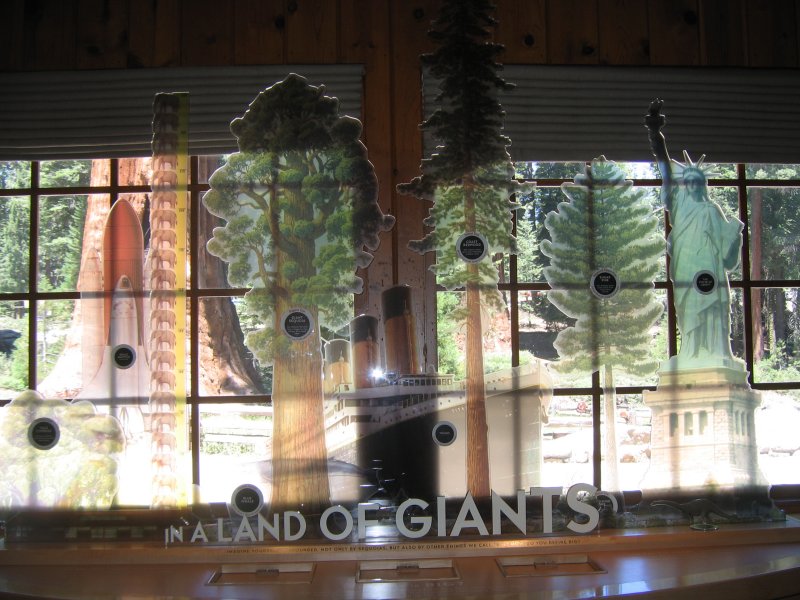 At the visitor center.