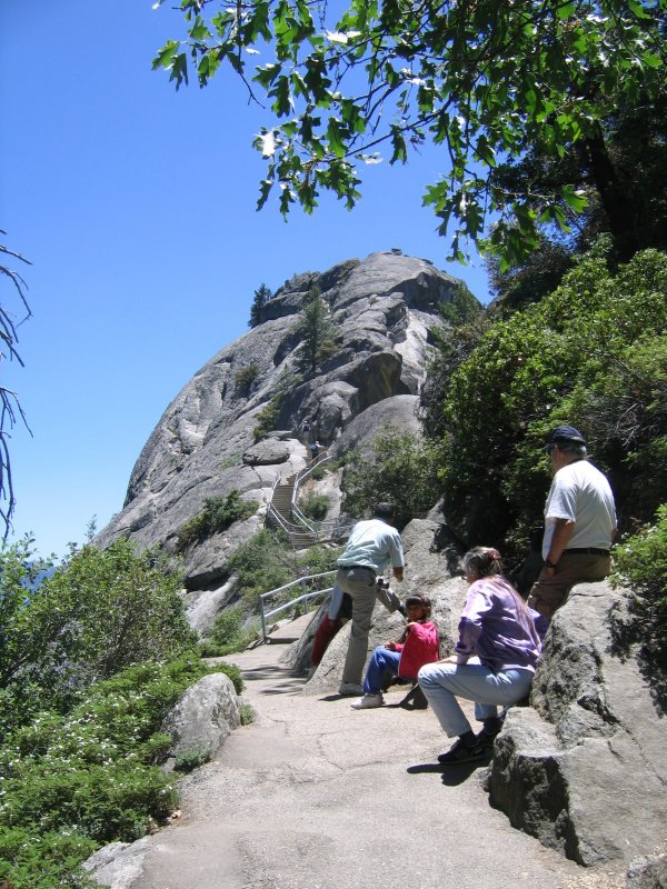 About 4,000 steps (1/4 mile) to the top.