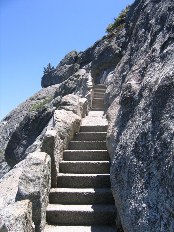 So many steps!