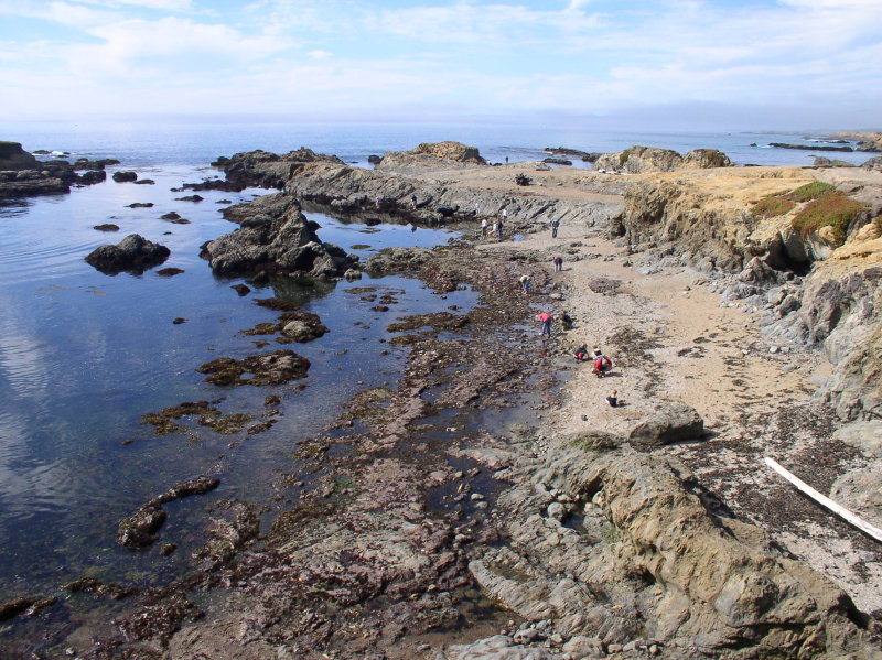 Glass Beach at the northend of Fort Bragg