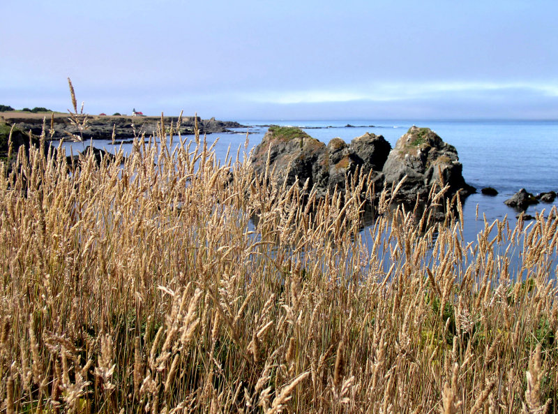 Point Cabrillo Coast