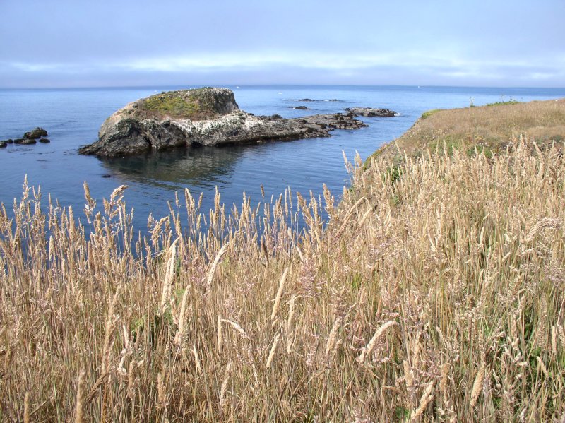 Point Cabrillo Coast