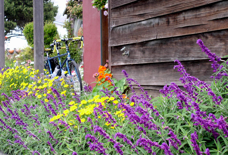 Flowers and Colors abound