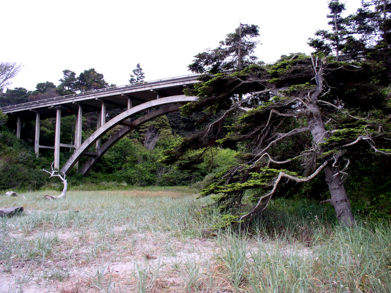 Jughandle State Reserve