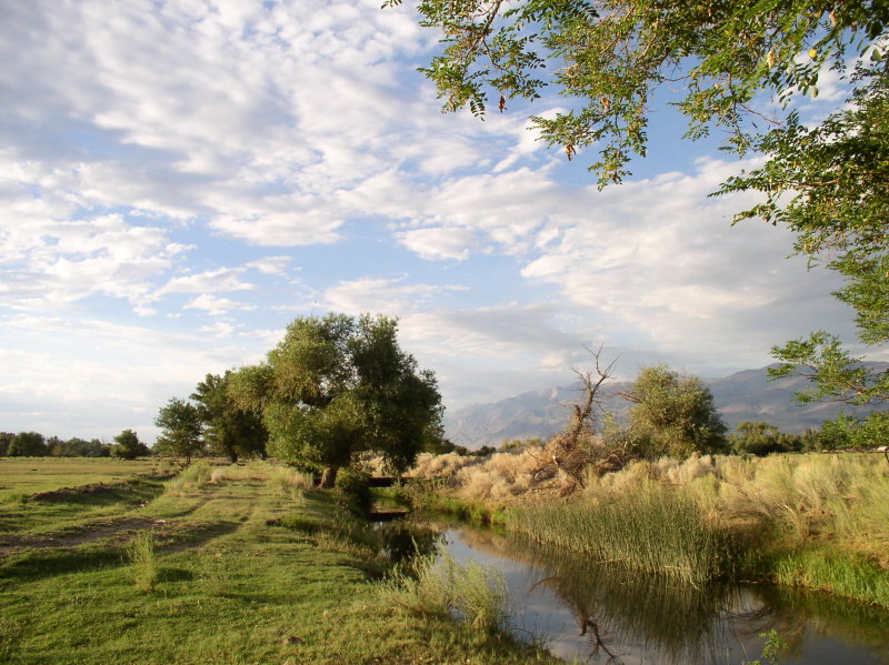 On an evening walk in Bishop.