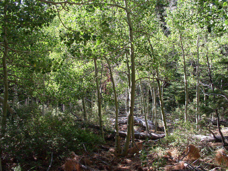 P7240186.JPG
