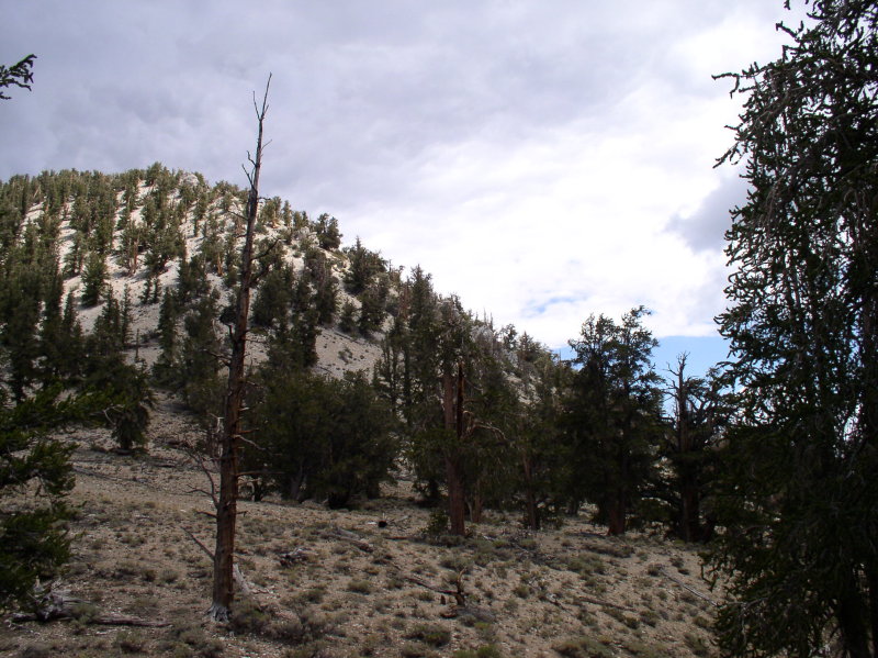 P7250036.JPG