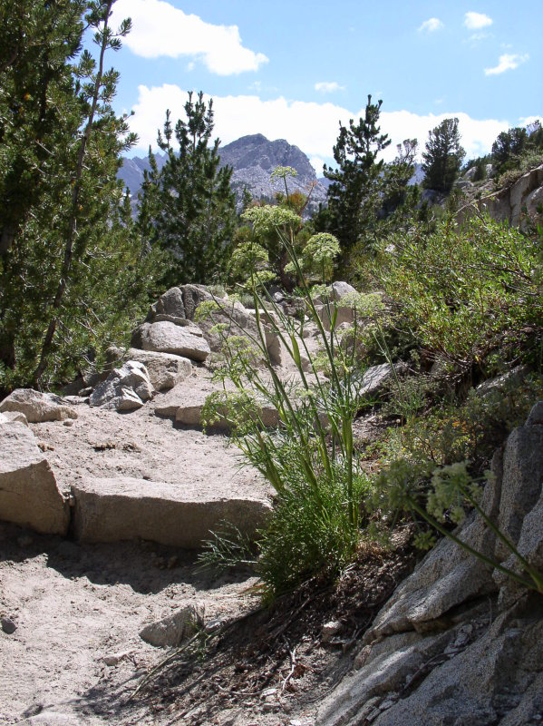 P7300037.JPG