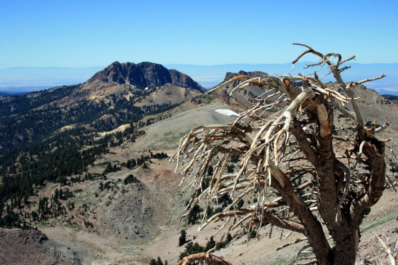 Lassen 205.jpg