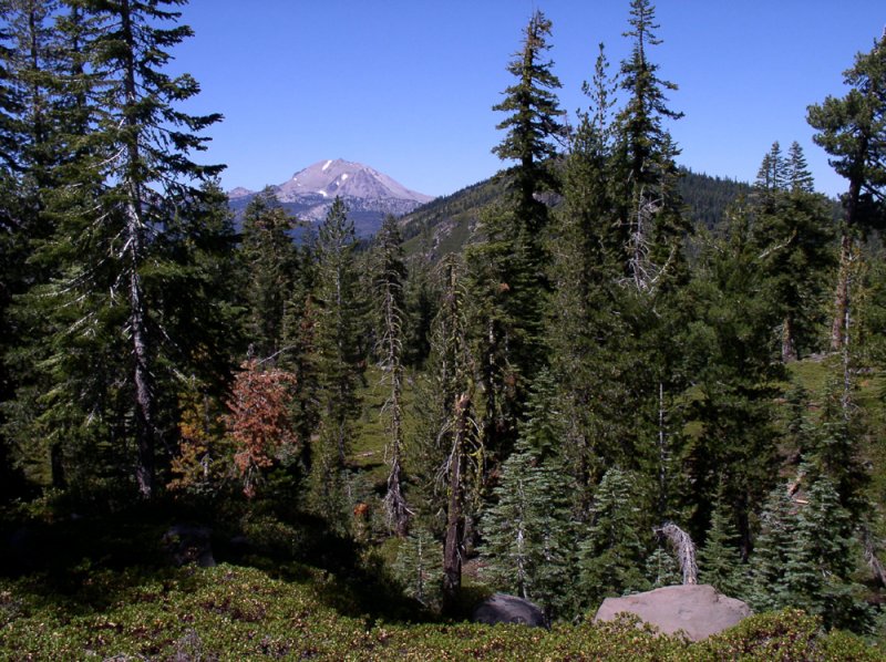 Mount Lassen in the distance.